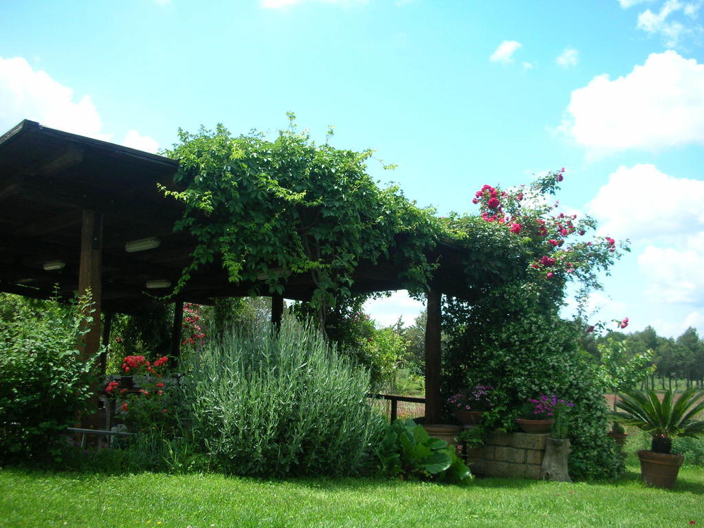 Podere Le Chiuse Sovana Buitenkant foto