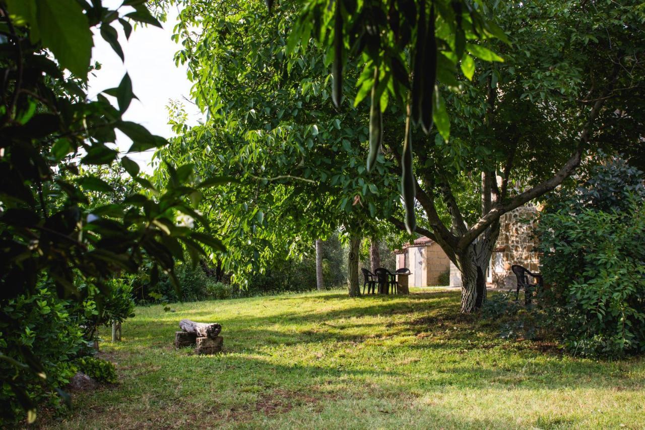 Podere Le Chiuse Sovana Buitenkant foto